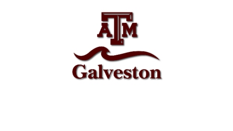 Texas A M Galveston Professor Flunks An Entire Class WTAW 1620AM