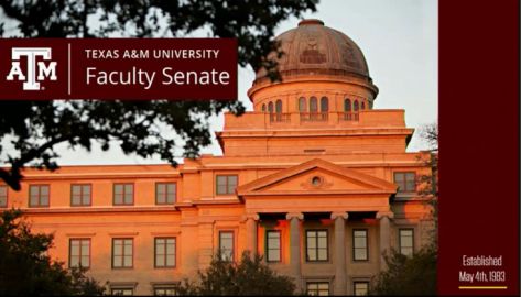 Screen shot from a Texas A&M faculty senate video conference meeting.