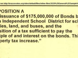 Screen shot from the November 2020 sample ballot of the Bryan ISD bond issue.