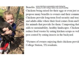 Screen shot from Lorraine Madewell's presentation during the January 14, 2021 College Station city council meeting.