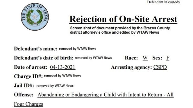 Screen shot of a document provided by the Brazos County district attorney's office. WTAW News removed information related to the identity of the person because she is not facing criminal charges as of April 16, 2021.