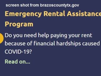 Screen shot from the home page of brazoscountytx.gov.