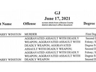 Screen shots from a Brazos County grand jury document provided by the district attorney's office.