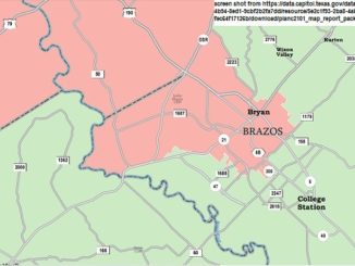 Screen shot showing the proposed 10th congressional district in green and the proposed 17th district in salmon from https://data.capitol.texas.gov/dataset/cf8703c8-1692-4b94-8ed1-9cbf2b2fa7dd/resource/5e2c1f93-2ba8-4abd-baf5-fec64f17126b/download/planc2101_map_report_package.pdf