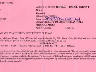 Screen shot from the Brazos County district court direct indictment of Ashlee Watts.