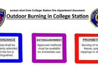 Screen shots from a College Station fire department document.