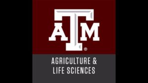 Image from the Texas A&M College of Agriculture and Life Sciences Twitter page.