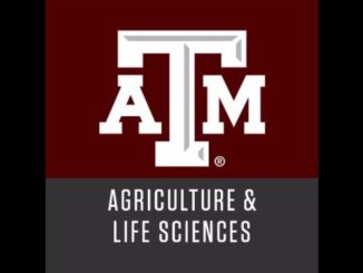 Image from the Texas A&M College of Agriculture and Life Sciences Twitter page.