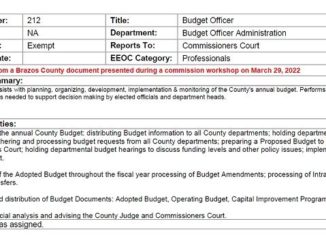 Screen shot from a Brazos County document shown during a March 29, 2022 county commission workshop.