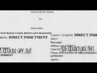 Screen shots from Brazos County district court documents.