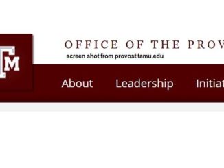 Screen shot from provost.tamu.edu