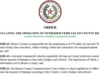 Screen shot from a Brazos County document.