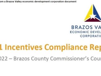 Screen shot from a Brazos Valley economic development corporation document.