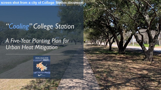 Screen shot from a city of College Station document.