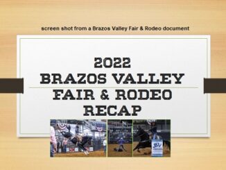 Screen shot from a Brazos Valley Fair & Rodeo document.