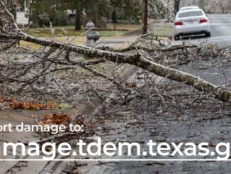 Image from the Texas division of emergency management Twitter account @TDEM.