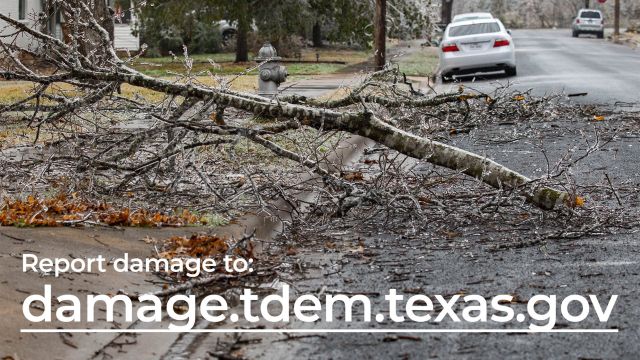 Image from the Texas division of emergency management Twitter account @TDEM.