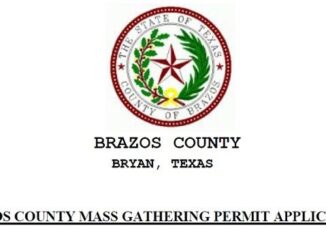 Screen shot from a Brazos County document.