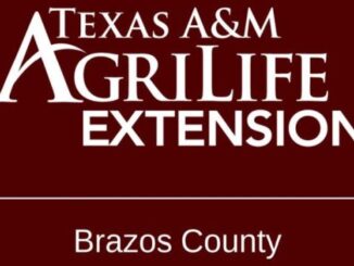 Image from the Brazos County extension office Facebook page.