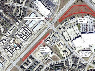 Screen shot from a city of College Station image showing the locations of transplanted trees.