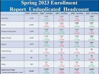 Screen shot from a Blinn College document.