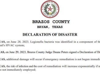 Screen shot from a Brazos County document.