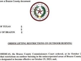 Screen shot from a Brazos County document.