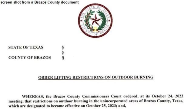 Screen shot from a Brazos County document.