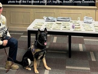 Photo showing K-9 Diego and Andy Drake is from the Facebook page J.P. Ingram, Brazos County Constable, Precinct 3