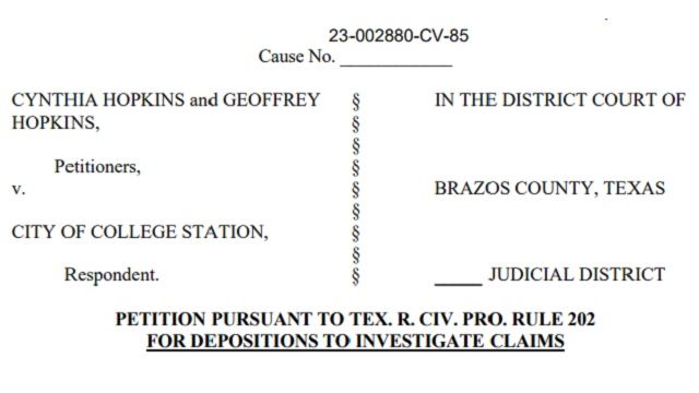 Screen shot from a Brazos County district court document.