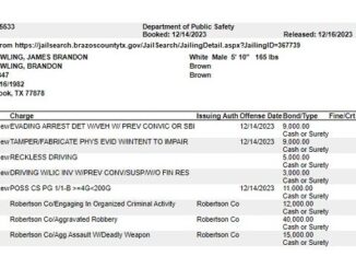 Screen shot from https://jailsearch.brazoscountytx.gov/JailSearch/JailingDetail.aspx?JailingID=367739