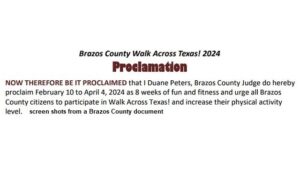 Screen shots from a Brazos County document.