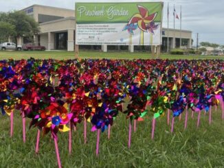 Photo of the pinwheel garden for Child Abuse Prevention Month, taken March 27, 2024.