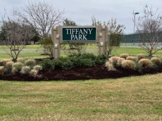 Photo taken March 1, 2024 of the Tiffany Park sign where in the distance behind the sign is a disc golf basket.