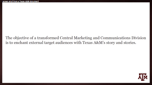 Screenshot from Texas A&M document.