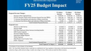 Screen shot from a Blinn College document.