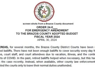 Screen shots from a Brazos County document.