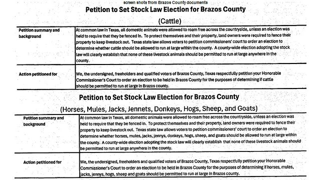 Screen shots from Brazos County documents.