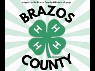 Image from the Brazos County 4-H facebook page.