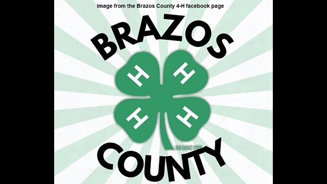 Image from the Brazos County 4-H facebook page.