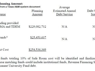 Screen shot from a Texas A&M system document.