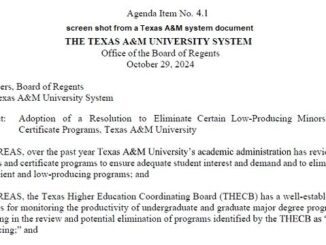 Screen shot from a Texas A&M system document.