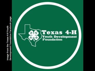 Image from the Texas 4-H Youth Development Foundation Facebook page.