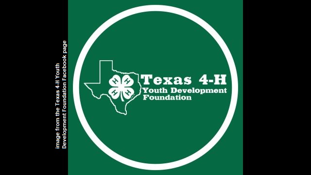 Image from the Texas 4-H Youth Development Foundation Facebook page.