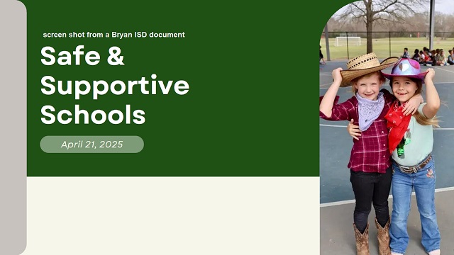 Screen shot from a Bryan ISD document.