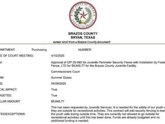 Screen shot from a Brazos County document.