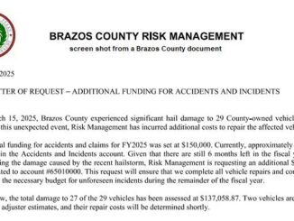 Screen shot from a Brazos County document.