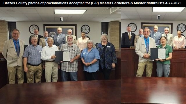 Brazos County photos of proclamations being accepted by representatives of (L-R) Brazos County Master Gardeners and Brazos Valley Master Naturalists at the April 22, 2025 commission meeting.
