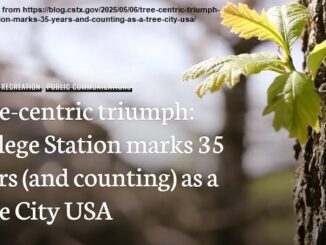 Screen shot from https://blog.cstx.gov/2025/05/06/tree-centric-triumph-college-station-marks-35-years-and-counting-as-a-tree-city-usa/