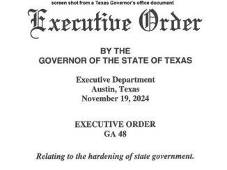Screen shot from a Texas Governor's office document.